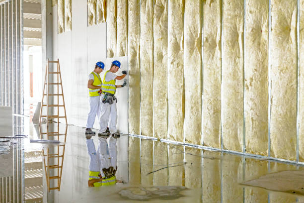 Best Commercial Insulation in Ocean Pointe, HI